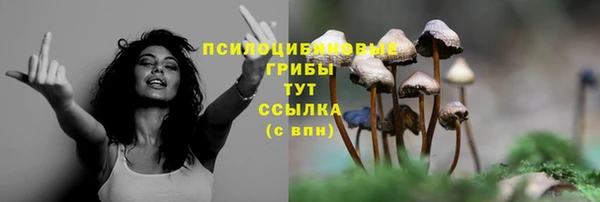молекула духа Каменка